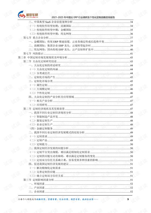 2021 2025年中國云erp行業(yè)調(diào)研及個性化定制戰(zhàn)略咨詢報告.pdf